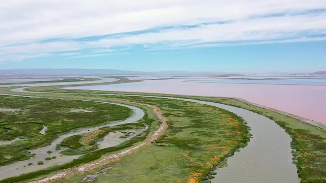 Green grass in marshlands by pink salt flats on sunny day, aerial overhead