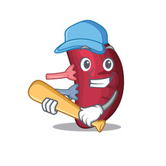 Picture of human spleen cartoon character playing baseball
