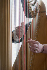 The Harpists Movement