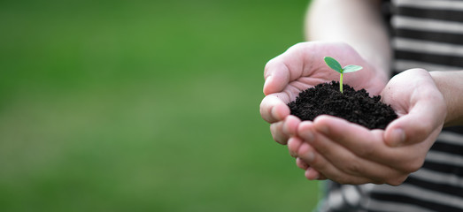 hands hold the soil with a sprout. Nature concept. Place for your text.