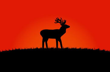 The black silhouette of a moose on a grassy hill with an orange backdrop.