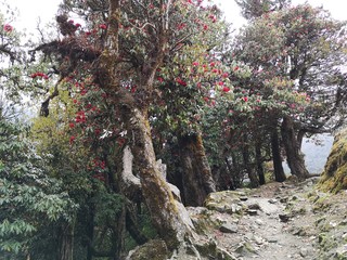 Images of wonderful places in Mustang Valley, Nepal, Himalayas