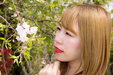 Naklejka premium 公園に咲く桜と女性