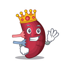 A Wise King of human spleen mascot design style