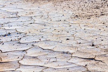 Dry land with crack texture nature background