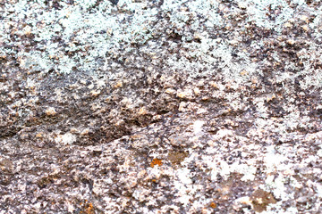 fondo de granito, distintas texturas