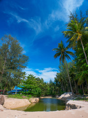 Fototapeta na wymiar A small pond in a tropical beach with coconut palm and pine trees
