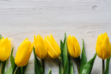 Row of yellow tulips on white rustic wooden background with space for message. Concept Hello Spring flowers. Holiday greeting card for Valentine's, Women's, Mother's Day, Easter! Top view, flat lay.