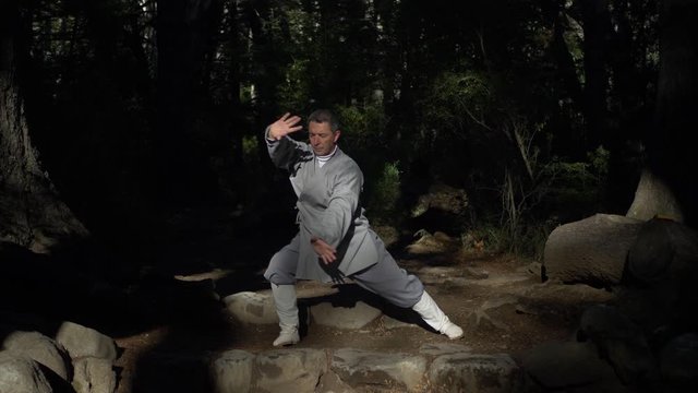 Man Practicing Tai-Chi In Nature