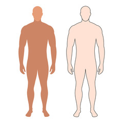 human figure. contour of a sports male body. vector.