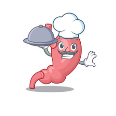Human stomatch chef cartoon character serving food on tray