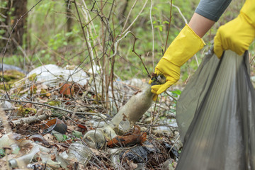 Obraz premium Woman volunteer picking up glass bottles in plastic bag in forest