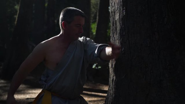 Man Practicing Kung Fu Shaolin