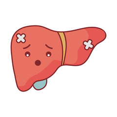 liver cartoon flat style icon vector design