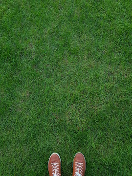 boots on grass green grass lawn background brown shoes shoes