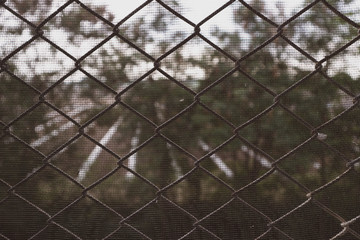 barbed wire fence with grass