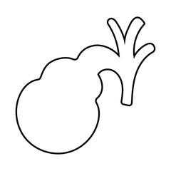Gallbladder line style icon vector design