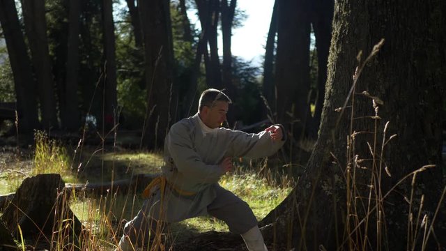 Man Practicing Kung Fu Shaolin