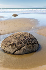 Obraz premium Spherical rocks at Moeraki Boulders beach in New Zealand.