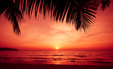 Fototapeta na wymiar Silhouette Palm Tree By Sea Against Sunset Sky