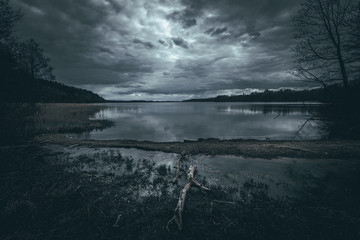 Brzeg jeziora Hańcza na tle zachmurzonego nieba - 346392930