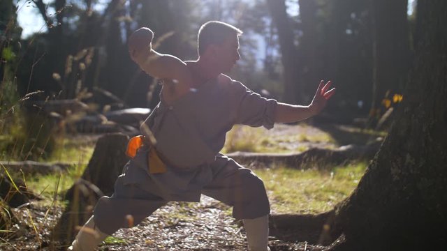 Man Practicing Kung Fu Shaolin