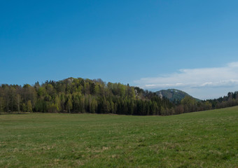 Fototapeta na wymiar idyllic spring landscape in Lusatian mountains, with lush green grass meadow, fresh deciduous and spruce tree forest, hills, blue sky white clouds background, horizontal, copy space