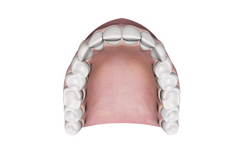 upper jaw teeth © dreamcream69