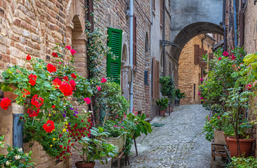Fototapeta na wymiar Acquaviva Picena a small village in Ascoli Piceno province, region Marche in Italy. characteristic narrow street of the medieval village