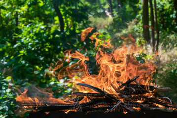 Close-up photo of a flame from brushwood that burns out in a grill for charcoal for a barbecue. Forest on background