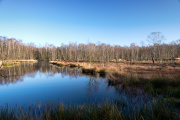 Kaltenhofer Moor in Schleswig-Holstein in Germany