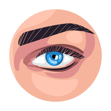 Blue Eye in the Circle, Part of Female Face Vector Illustration
