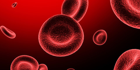 red blood cells