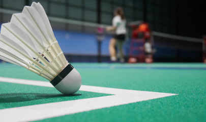 The shuttlecock will float before reaching the line. On the badminton court
