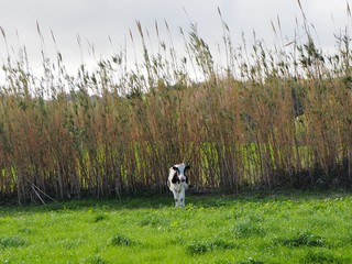 OLYMPUS DIGITAL CAMERA © Lucy