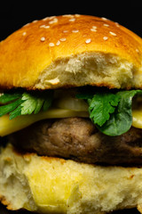 Tasty hearty fast food close-up, not healthy food