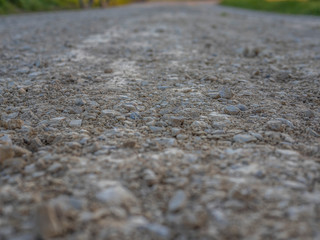 Close-up of a dirt road on the border of a lake in Switzerland,  in Spring