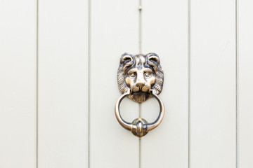 lion door knockers on a door