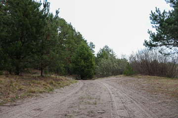 road in the woods
