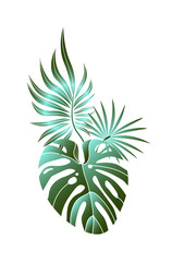 Tropical leaves composition. Jungle foliage design for postcard, label, web design or post in social networks. Paradise nature element. Botanical vector illustration isolated on white background.