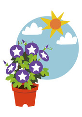 朝顔のイメージイラスト。
夏の花のイメージ。