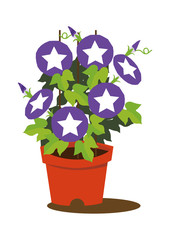 朝顔のイメージイラスト。
夏の花のイメージ。