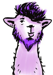 cute lama portrait isolated on white