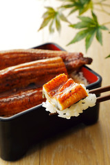 うな重　Japanese grilled eel served over rice a lacquered box