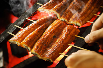 うなぎの蒲焼き　Grilled eel with soy based sauce