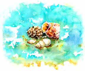 Composition of sea shells on the seabed. Watercolor illustration
