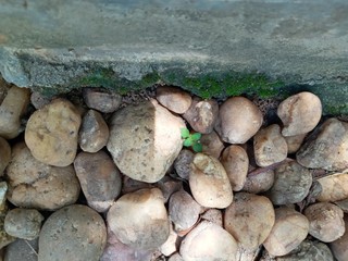 Stones near a wall