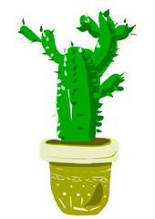 Cactus is drawn on a graphics tablet in light green tones in a pot. Illustration hand drawing. hand drawn, Doodles, Plants, Cactus Pots ,Plants, Instant download, Clipart, Succulents, cactus prints   