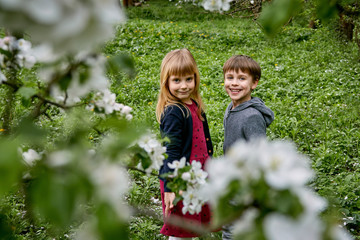 Portrait of a boy and a girl on the background of a blooming garden and green grass. A happy family.