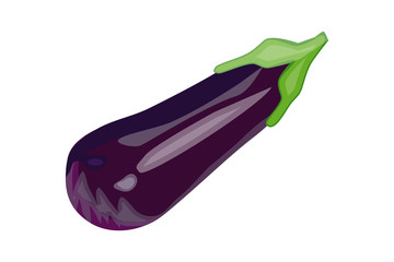 Eggplant isolated on white background. Aubergine vegetable icon. Whole brinjal edible fruit. Eggplant for farm market, vegetarian recipe design, healthy food, organic vegetables. Vector illustration